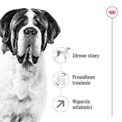 Royal Canin Giant Adult - Trfoder Til Hunde - 15 Kg