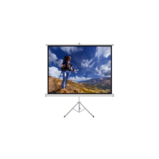 H�ndholdt sk�rm p� stativ 4; 3 72 "145x110cm TS-72 4: 3