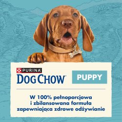 Purina Dog Chow Puppy Lamb 14 kg Hundehvalp