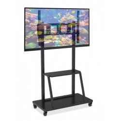 LCD Stativ 55-100cali 150KG