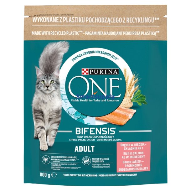 PURINA One Bifensis Adult Salmon - trfoder til kattekillinger - 800 g