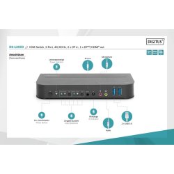 KVM switch - 2 porte DS-12850