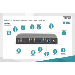 KVM switch - 2 porte DS-12850
