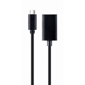 Adapter USB-C til DisplayPort 4K 15 cm