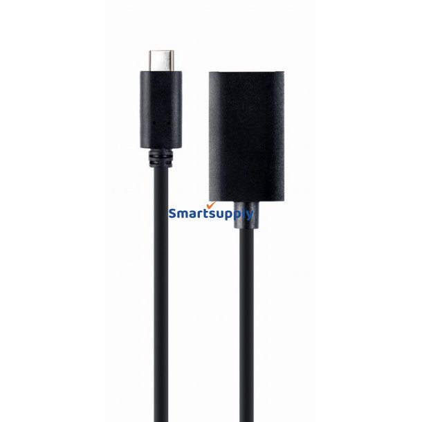 Adapter USB-C til DisplayPort 4K 15 cm