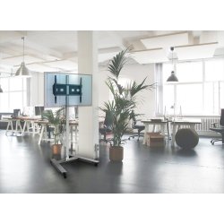 Sk�rm vogn 42-65 tommer TR5E