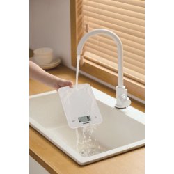 K�kkenv�gt FKS401