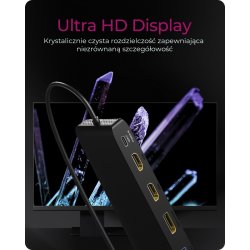 ICY BOX IB-DK2116-C 12in1,HDMI,DP,LAN,USB