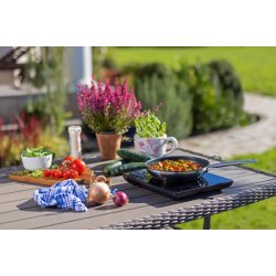 Turist induktionskogere single ICY2000SP