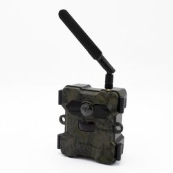 Wildcam med solpanel