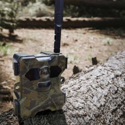 Wildcam med solpanel