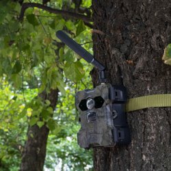 Wildcam med solpanel