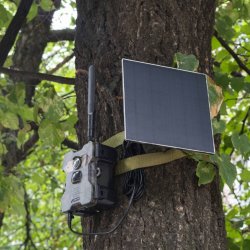 Wildcam med solpanel