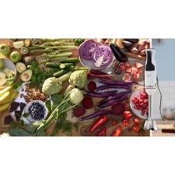 H�ndblender MSM4W210