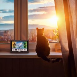 Tr�dl�s vejrstation GB540N