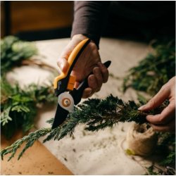 Sekator noycowy Solid (P341) 1057164