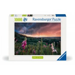 Puzzle 1000 brikker Sthorm