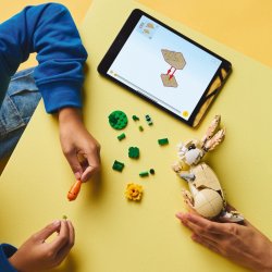 Blocks Creator 31162 S�d Kanin