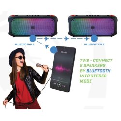 Bluetooth H�jtaler FM/USB SoundVox 650