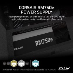 RM750e PCIe 5.1 80+GOLD F.MODULAR ATX3.1
