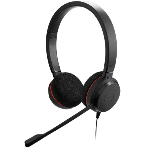 Jabra Evolve 20 USB-A &amp; USB-C MS Stereo