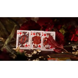 Karty Dragon Red 2024