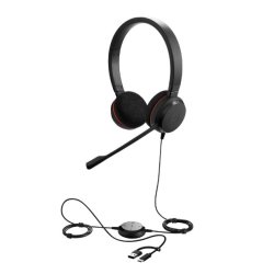 Jabra Evolve 20 USB-A & USB-C MS Stereo