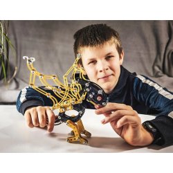 Pterodactyl Dinosaurer Lille Konstruktion Konstruktion S�t