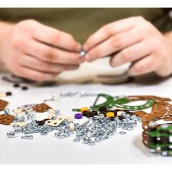 Triceratops Dinosaurus Lille Konstrukt�r Bygges�t