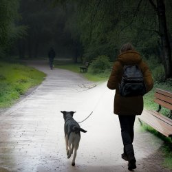 LED lommelygte 3 lysindstillinger