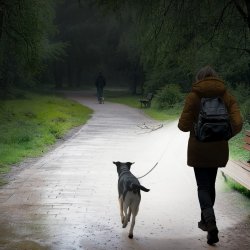 LED lommelygte 3 lysindstillinger