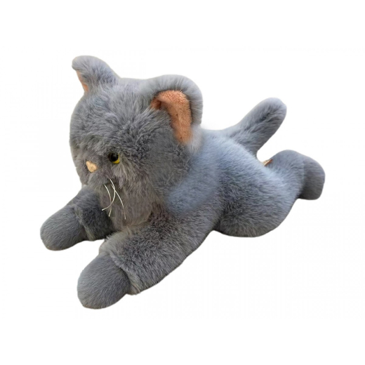 Kat ligger ned 45 cm gr�