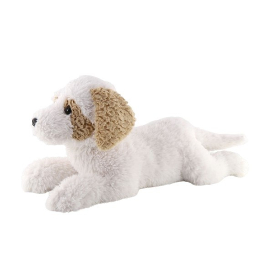 Havanesa hund liggende 60 cm