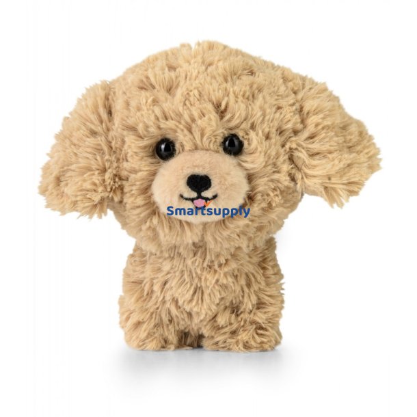 Mascot Teddy Pets Golden Poodle
