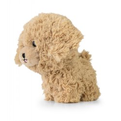 Mascot Teddy Pets Golden Poodle