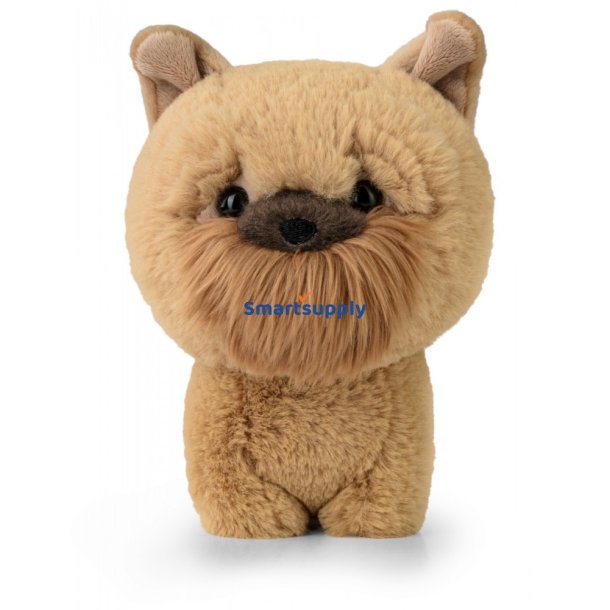 Mascot Teddy Pets Griffon Bruxellois