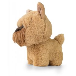 Mascot Teddy Pets Griffon Bruxellois