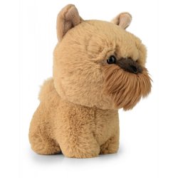 Mascot Teddy Pets Griffon Bruxellois
