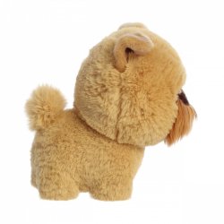Mascot Teddy Pets Griffon Bruxellois