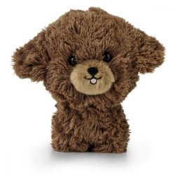 Mascot Teddy Pets Hvalp Poodle