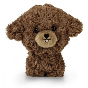 Mascot Teddy Pets Hvalp Poodle