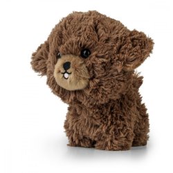 Mascot Teddy Pets Hvalp Poodle