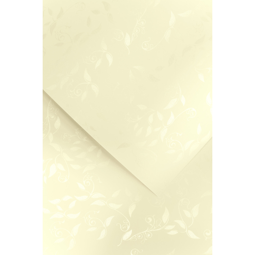 Metallic dekorativt A4 papir creme blade 50 stk.