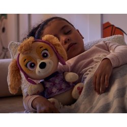 Mascot Paw Patrol Skye