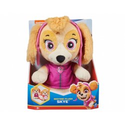 Mascot Paw Patrol Skye