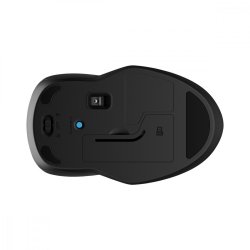 250 Dual Wireless Mouse 6V2J7AA#ABB