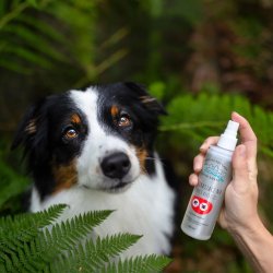 Jm Sante Green Sante - Naturligt Loppe- Og Fltmiddel Til Hund Og Kat - 150 Ml