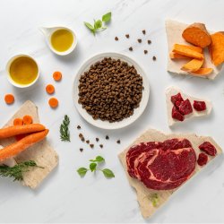 RAW PALEO Ultra Medium&Large Adult Oksekd - trt hundefoder - 10 kg