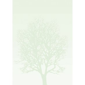 Lysegrnt tr mnster A4 papir satin delux 50 stk