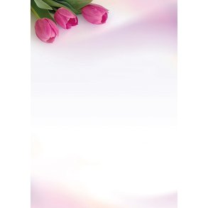 Tulipaner mnster A4 papir satin delux 50 stk.